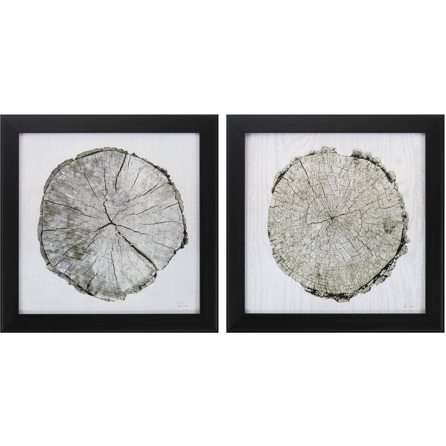 Naturals Neutral and Brown Framed Art, Propac