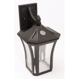Montauk LED 15.25 inch Black Outdoor Wall Sconce, Aspect