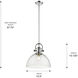 Yep Hines 1 Light 13.5 inch Chrome Pendant Ceiling Light in Seeded Glass, Large