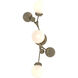 Sprig 3 Light 12.9 inch Soft Gold Sconce Wall Light in Opal