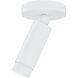 Cleo LED 5 inch White Flush Mount Ceiling Light