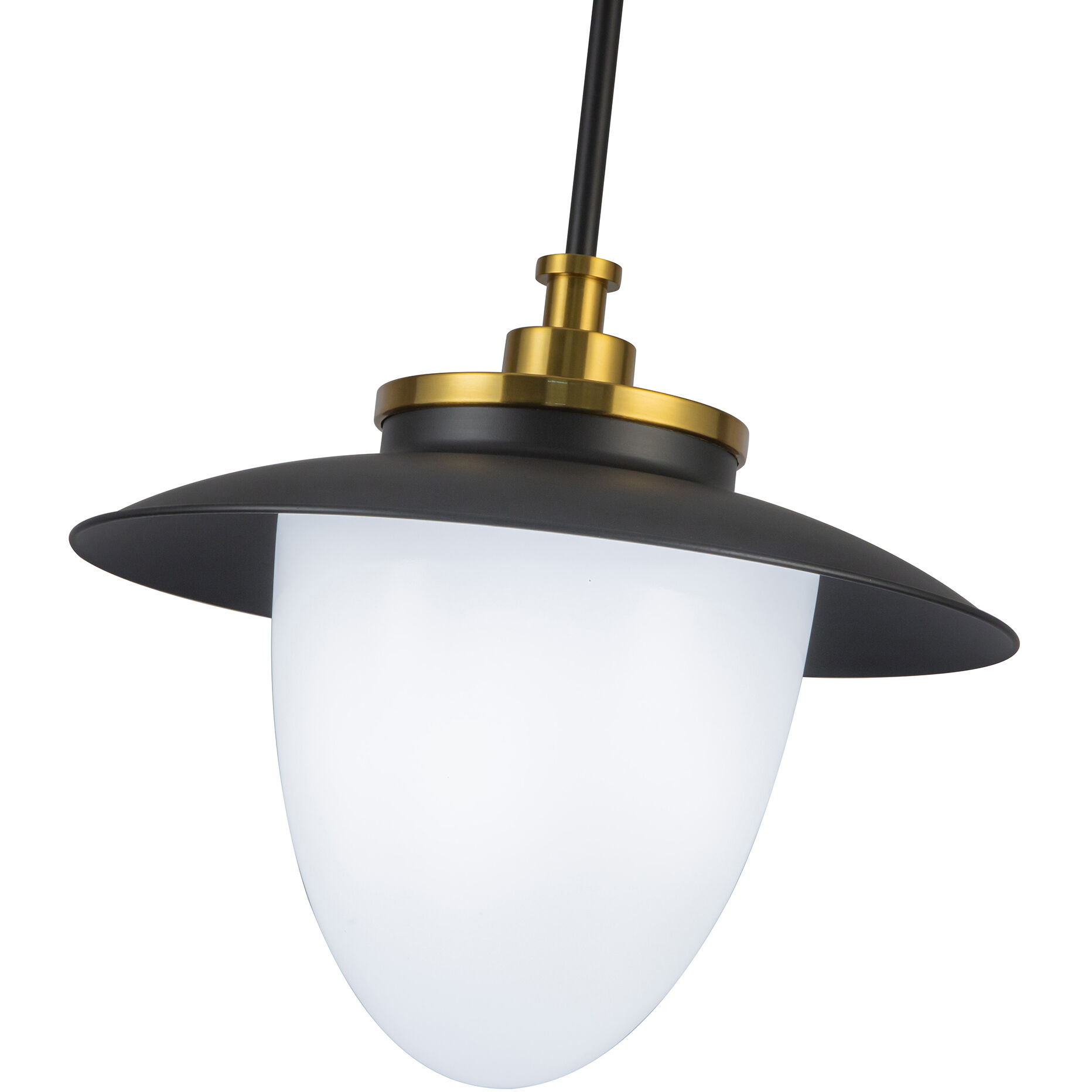 Dahlia 1 Light 15 inch Black and Brass Pendant Ceiling Light