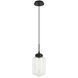 Irresistible Organic Charm 1 Light 7.13 inch Clear Pendant Ceiling Light