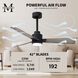Atlas Alessandra-LK 42 inch Matte Black with Gray Ash Blades Indoor/Outdoor Ceiling Fan