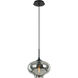 Irresistible Organic Charm 1 Light 11 inch Smoke Pendant Ceiling Light