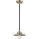 Nouveau Railroad LED 8 inch Black Antique Brass Mini Pendant Ceiling Light, Nouveau