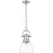 Yep Duncan 1 Light 8.88 inch Pewter Pendant Ceiling Light in Clear Glass