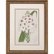 Florals Collection Green Framed Art