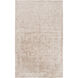 Haize 36 X 24 inch Taupe Rug