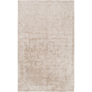 Haize 36 X 24 inch Taupe Rug