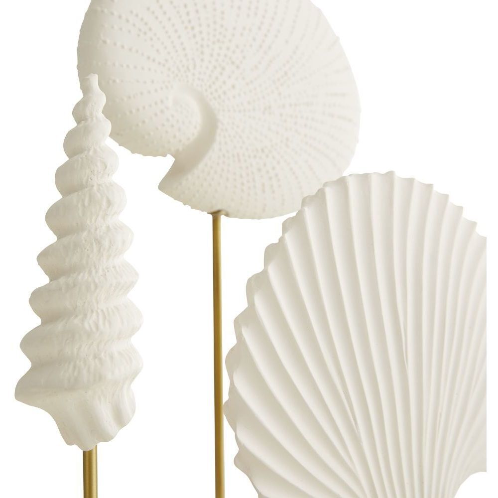 Shell White Sculptures, Set of 3