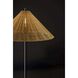 Rayne 61.25 inch 60 watt Brown Marble and Black Floor Lamp Portable Light