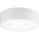 Snare 2 Light 12.00 inch Flush Mount