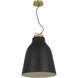 Sean Lavin Forge LED 20 inch Natural Brass Line-Voltage Pendant Ceiling Light in Nightshade Black