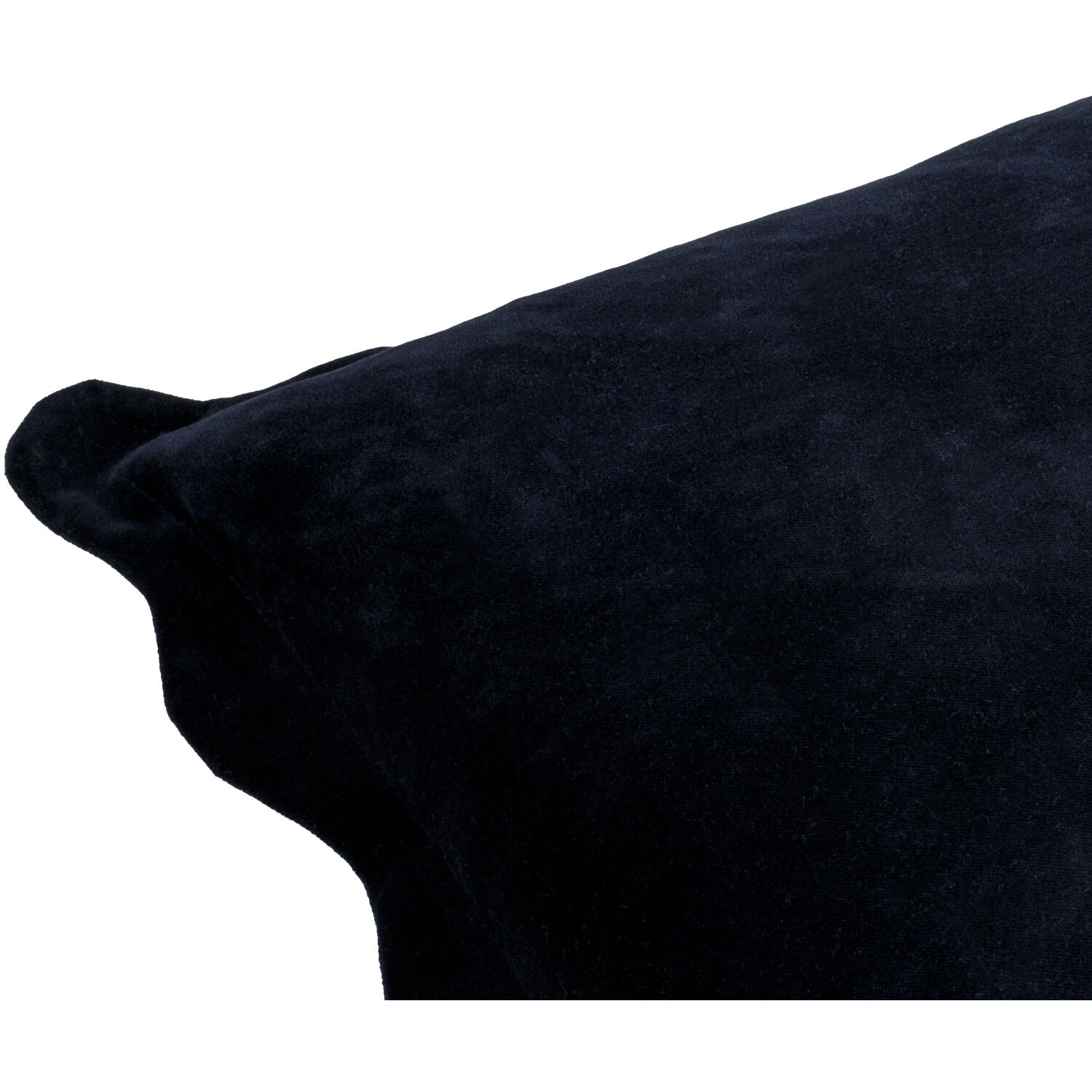 Effervescent 22 X 22 inch Black Accent Pillow