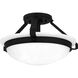 Elderwood 2 Light 15 inch Matte Black Semi-Flush Mount Ceiling Light