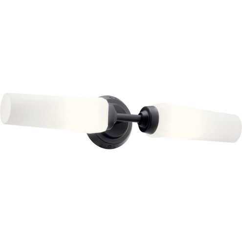 Truby 2 Light 20.75 inch Black Bath Vanity Light Wall Light