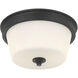 Strayhan 2 Light 13 inch Matte Black Flush Mount Ceiling Light