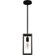 Squire Manor 1 Light 5 inch Matte Black Mini Pendant Ceiling Light