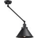 Briarcliff 21 inch 100 watt Matte Black Swing Arm Wall Light, Franklin Restoration