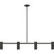Zentro 4 Light 48 inch Midnight Black Linear Chandelier Ceiling Light in Incandescent