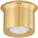 Noxon LED 7 inch Aged Brass Flush Mount Ceiling Light