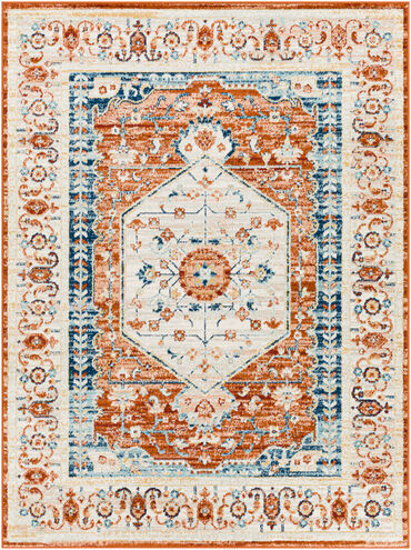 Tevazu Area Rug