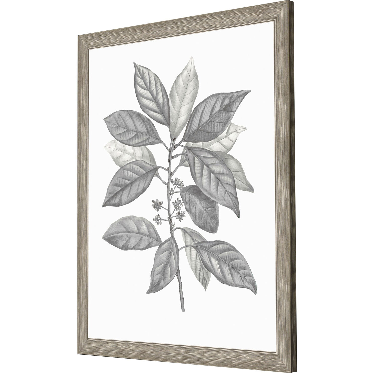 Silvered Leaves Gray and Brown and Green and Neutral Framed Art