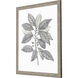 Silvered Leaves Gray and Brown and Green and Neutral Framed Art