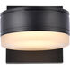 Raine Outdoor Wall Light in Black