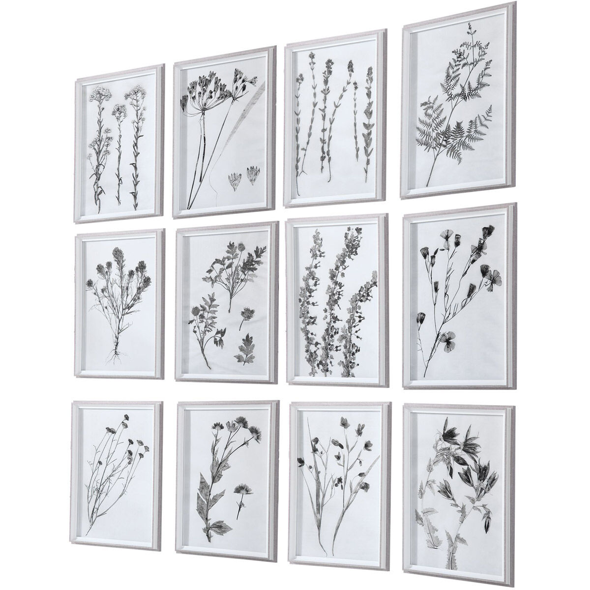 Contemporary Botanicals 22 X 16 inch Framed Prints, Set of 12