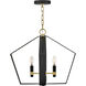 Sammi 2 Light 20 inch Black with Lacquered Brass Pendant Ceiling Light