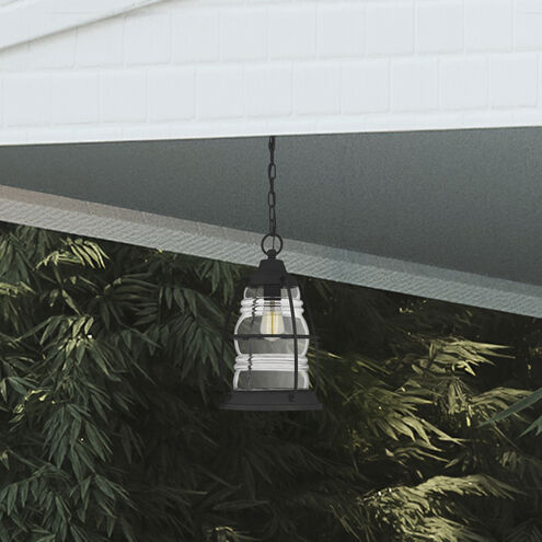 Admiral 1 Light 10 inch Mottled Black Outdoor Hanging Lantern