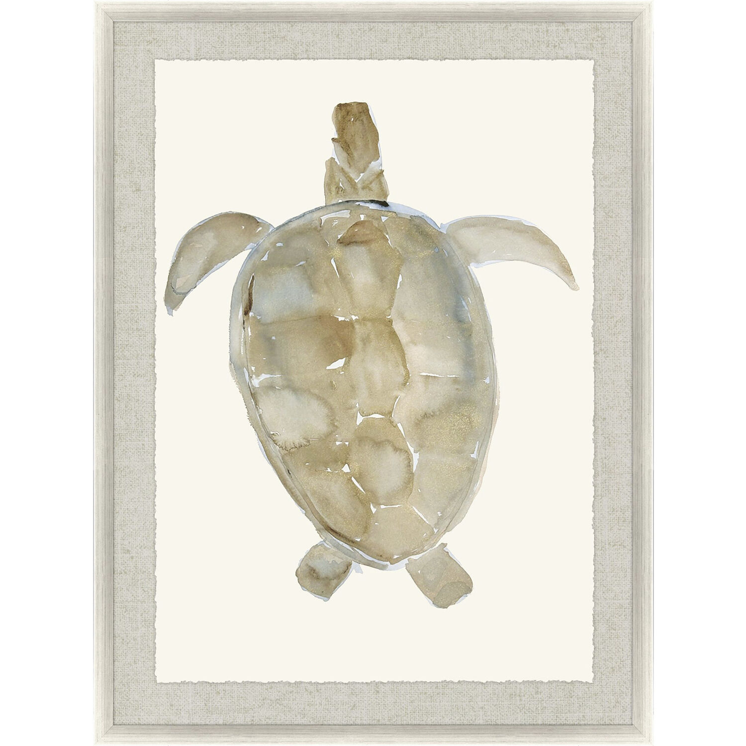 Neutral Turtle Brown and Beige and Blue and Neutral Framed Art