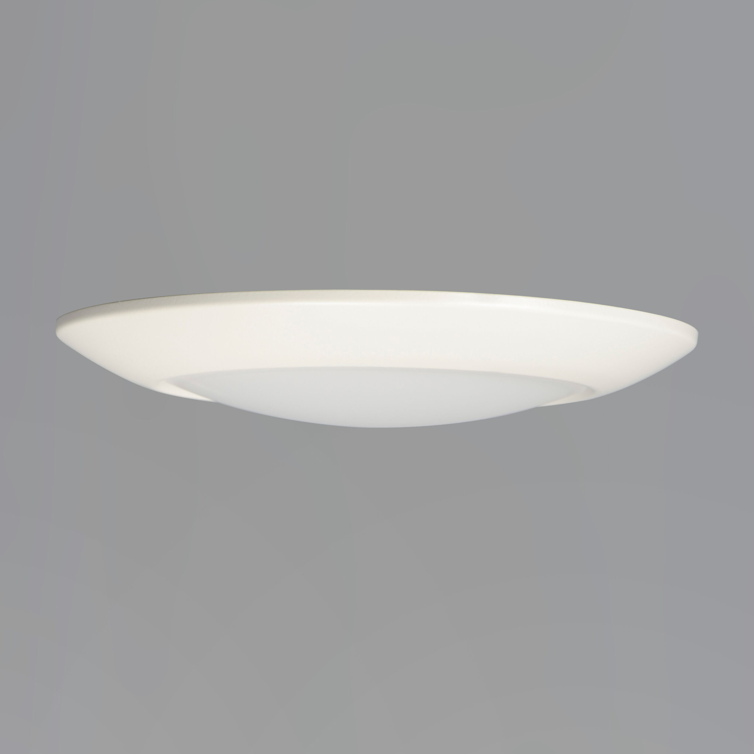 Diverse LED LED 11 inch White Flush Mount Ceiling Light