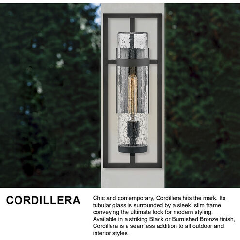 Cordillera Outdoor Wall Mount Lantern in Burnished Bronze, Medium