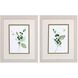 Florals Collection Green Framed Art