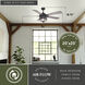 Barnes 21.26 inch Matte Black and Rustic Oak with Driftwood-Black Walnut Blades Ceiling Fan