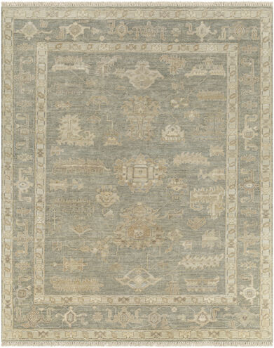 Antalya 36 X 24 inch Brown Rug, Rectangle