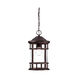 Vista II 1 Light 9 inch Architectural Bronze Exterior Hanging Lantern