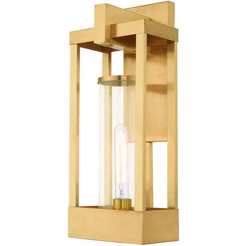 Delancey 1 Light 20 inch Satin Brass Outdoor Wall Lantern