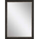 843 Mirror Group 41 X 29 inch Brown and Metallic Wall Mirror