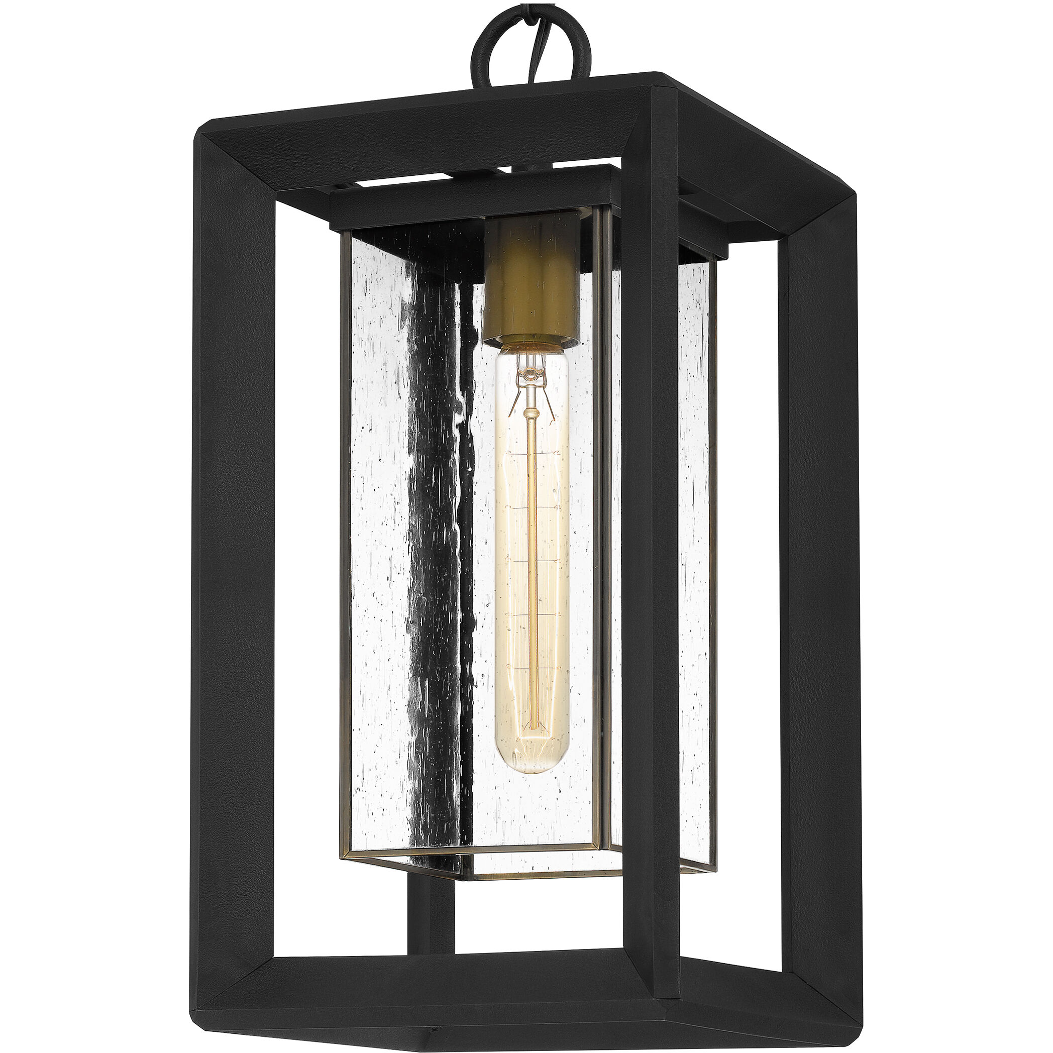 Infinger 1 Light 9 inch Earth Black Outdoor Hanging Lantern, Large
