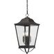 Savannah 4 Light 10 inch Sand Coal Outdoor Chain Hung, The Great Outdoors