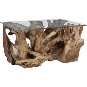 Teak Root 36 X 24 inch Natural with Clear Coffee Table