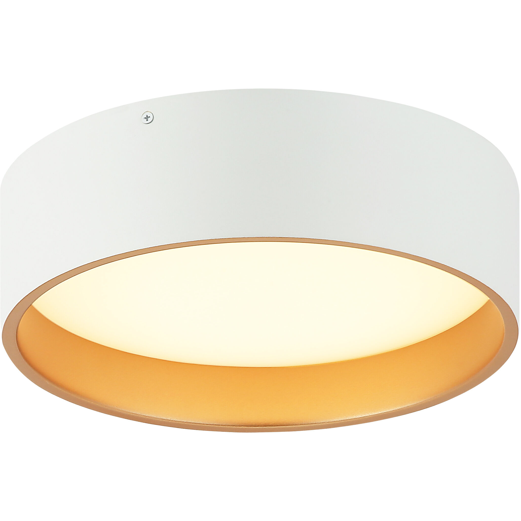 Novalee LED 12 inch Matte White Flush Mount Ceiling Light