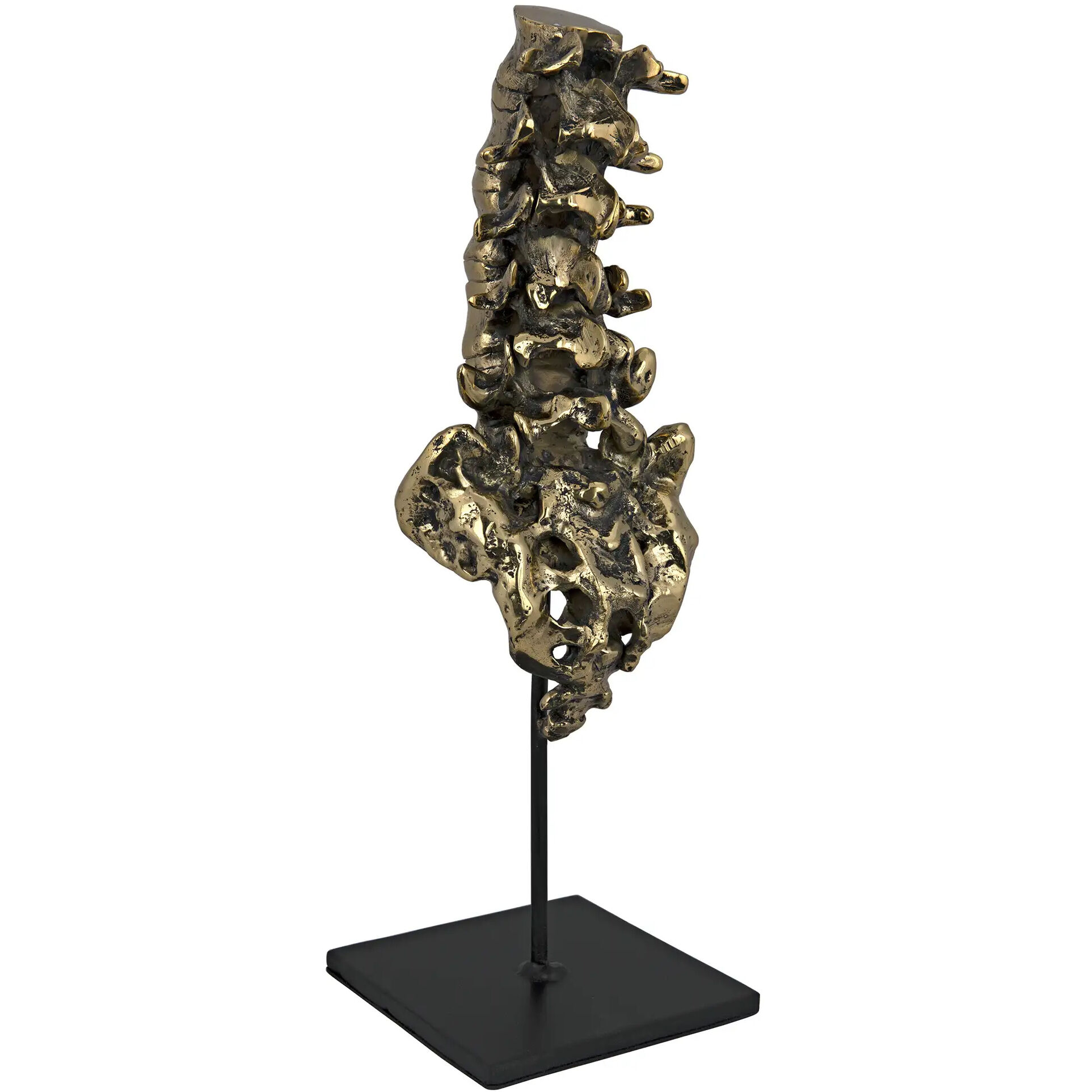 Vertebrae Brass Decor Accessory
