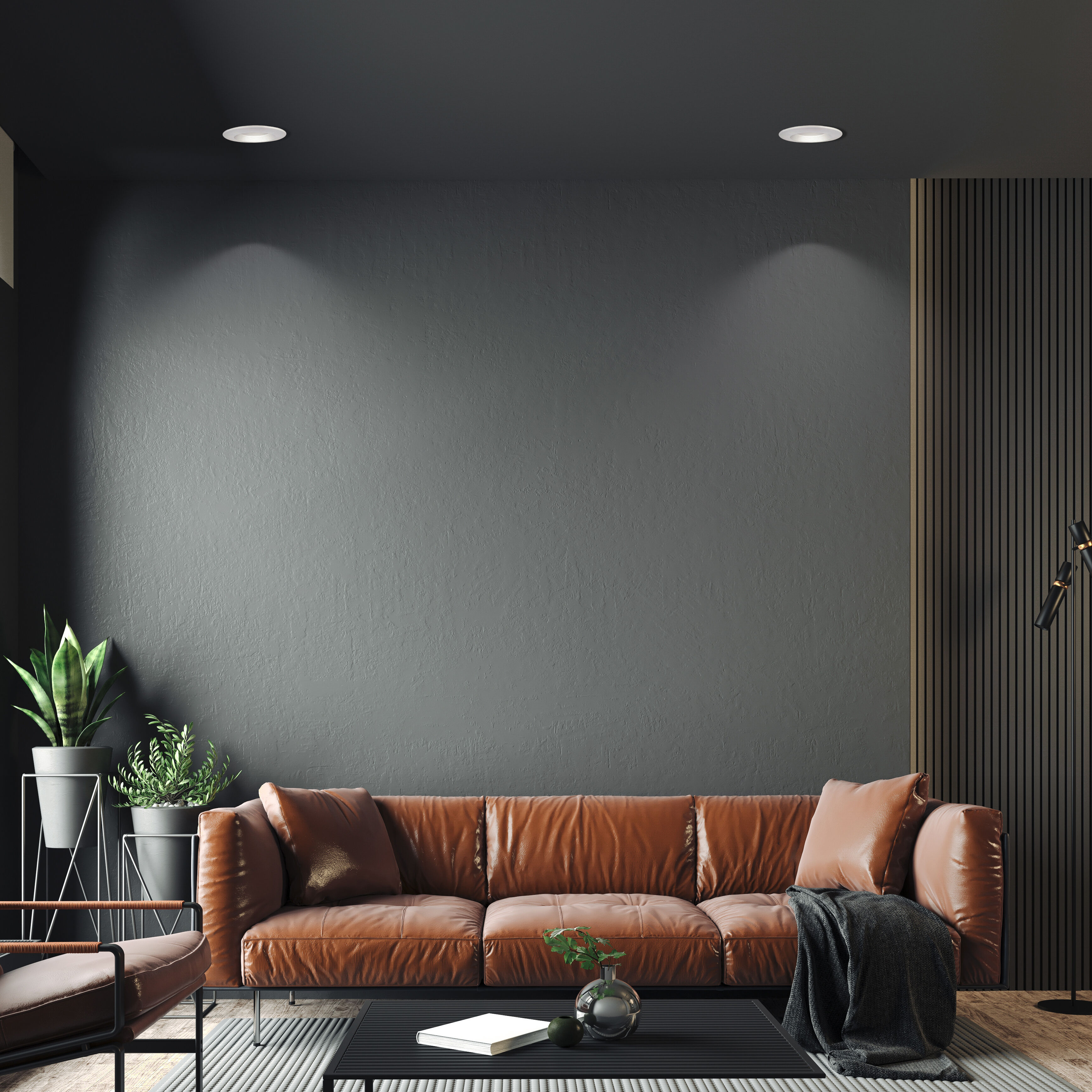 Accessories Integrated LED White Retro Fit Recessed Light