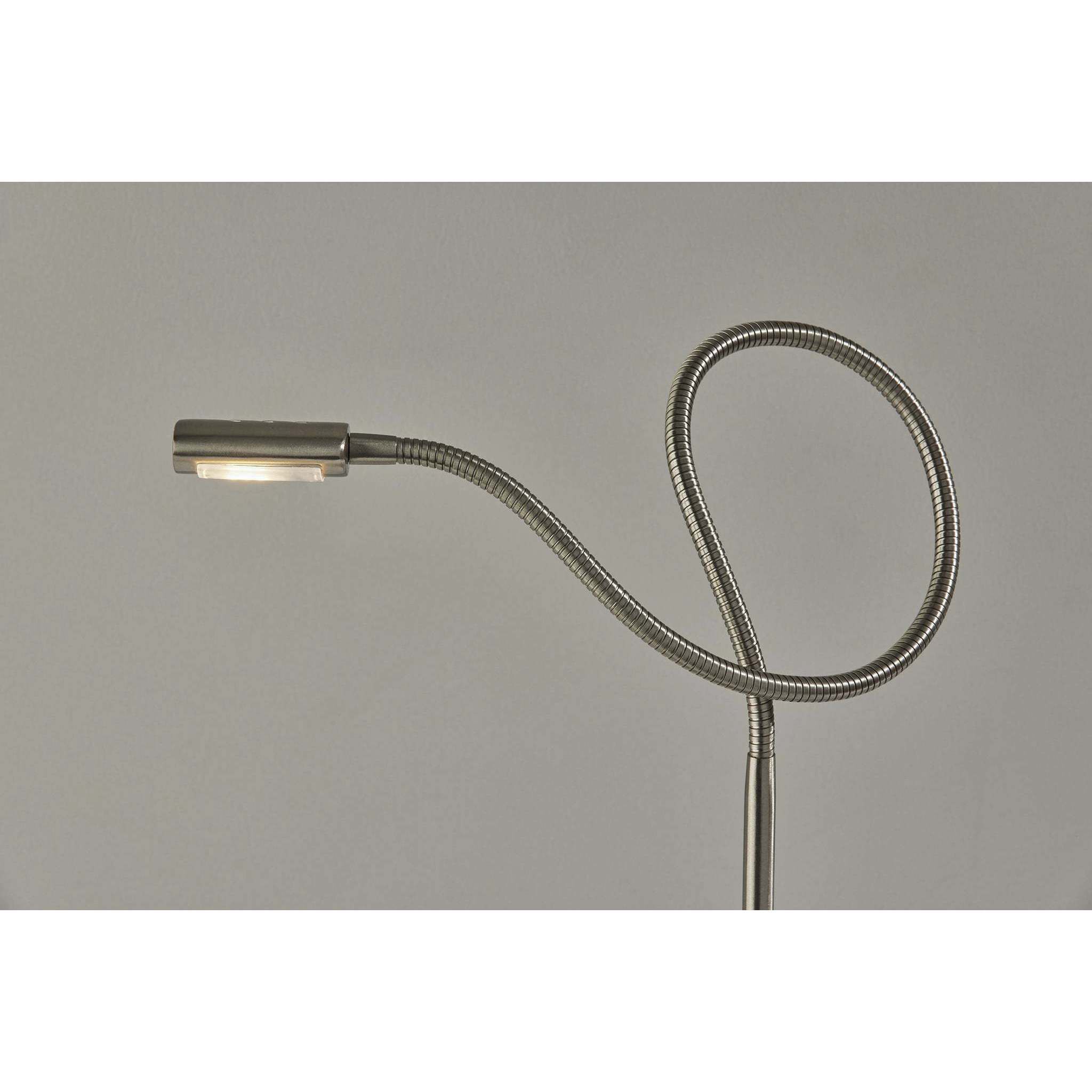 Eternity 21 inch 6.00 watt Brushed Steel Desk Lamp Portable Light