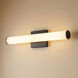 Colt LED 18 inch Matte Black Vanity Light Wall Light